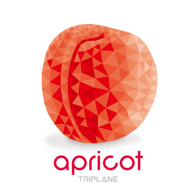 apricot/TRIPLANE