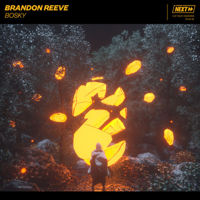 シングル/Bosky (Extended Mix)/Brandon Reeve