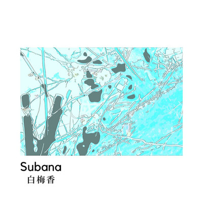 白梅香/Subana