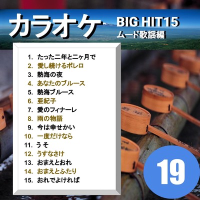カラオケ BIG HIT 15 ムード歌謡編 19/CTA カラオケ
