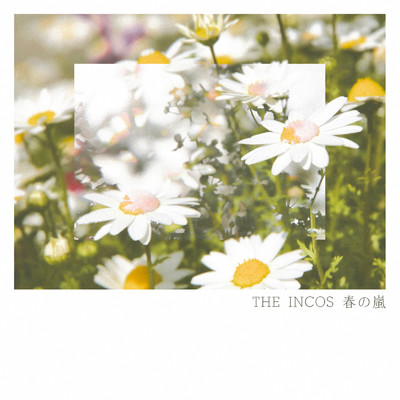 春の嵐/THE INCOS
