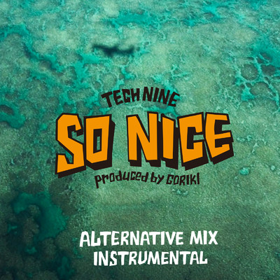 SO NICE (ALTERNATIVE MIX INSTRUMENTAL)/GORIKI & TECH NINE