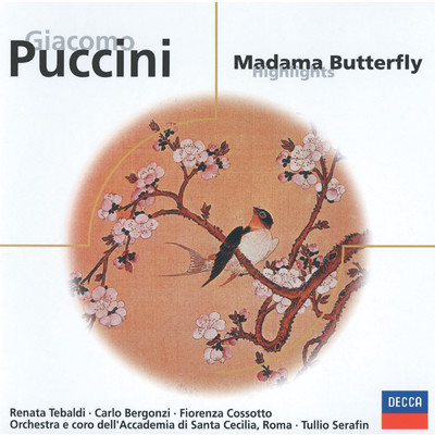 シングル/Puccini: Madama Butterfly ／ Act 2 - Io so che alle sue pene...Addio, fiorito asil/エンツォ・ソルデルロ／カルロ・ベルゴンツィ／フィオレンツァ・コッソット／サンタ・チェチーリア国立アカデミー管弦楽団／トゥリオ・セラフィン