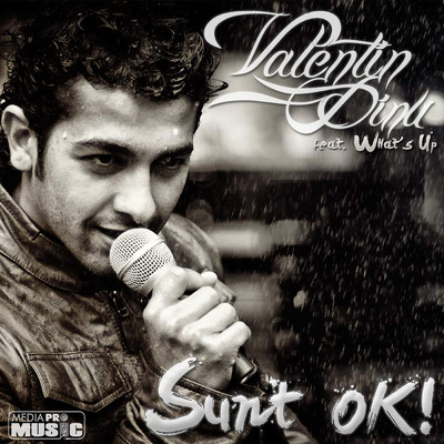 シングル/Sunt OK！ (featuring What's Up)/Valentin Dinu