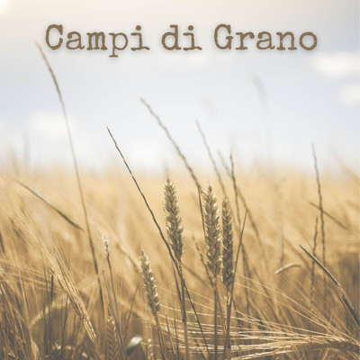 アルバム/Campi di Grano/Italian Country Man