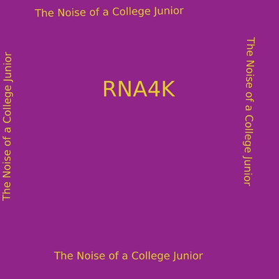 アルバム/The Noise of a College Junior/Rna4k
