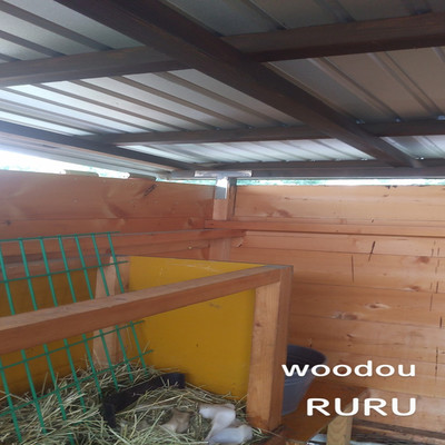 アルバム/woodou/RURU