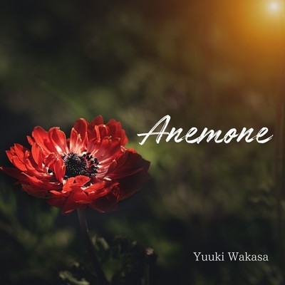 シングル/Anemone/若狭雄基
