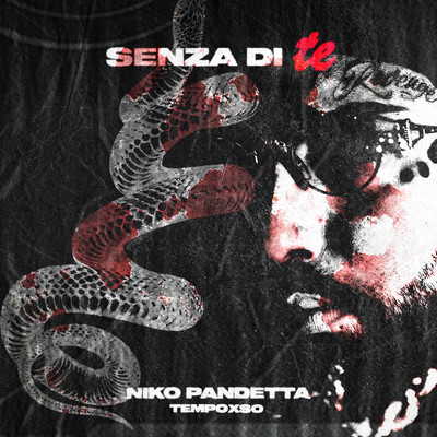 シングル/Senza di te/Niko Pandetta & Tempoxso