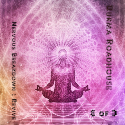 アルバム/Nervous Breakdown -Revive-(3 of 3)/Burma Roadhouse