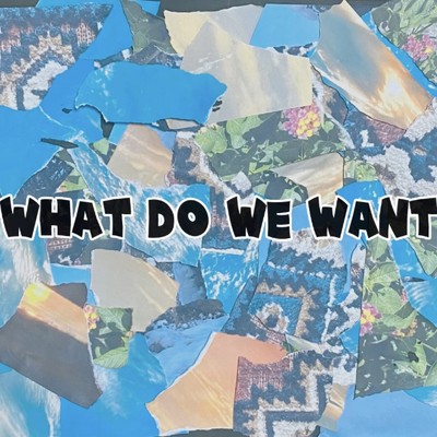 WHAT DO WE WANT/onevisions
