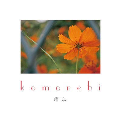 komorebi/瑠璃