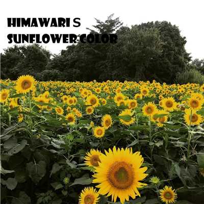 アルバム/Sunflower color/HIMAWARI S