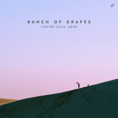 シングル/You're Still Here/Bunch Of Grapes