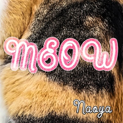 Kitten/Naoya