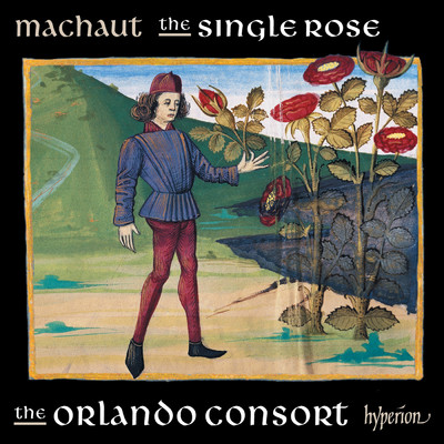 アルバム/Machaut: The Single Rose (Complete Machaut Edition 7)/オルランド・コンソート
