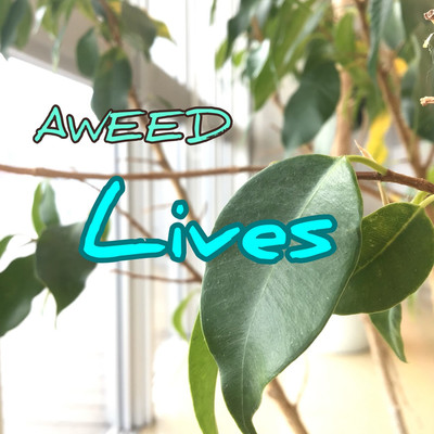 シングル/Lives/AWEED