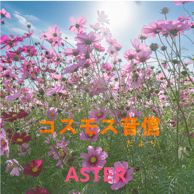 シングル/コスモス音信/ASTER