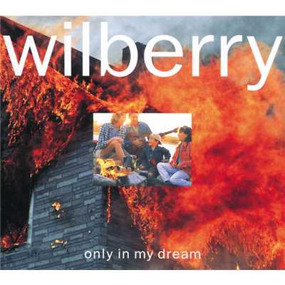 アルバム/only in my dream/Wilberry