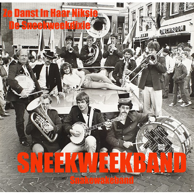 Ze Danst In Haar Niksie De Sneekweekdixie/De Sneekweekband