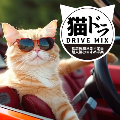 アルバム/猫 DRIVE MIX〜疾走感溢れるド定番・超人気おすすめ洋楽〜 (DJ MIX)/DJ NOORI