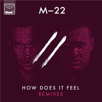 アルバム/How Does It Feel (Remixes)/M-22