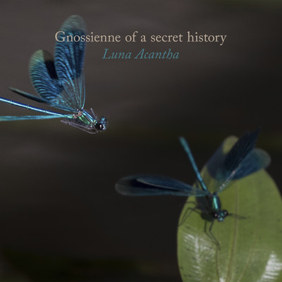 Gnossienne of a secret history/Luna Acantha