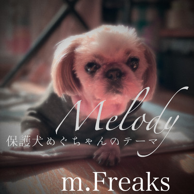 Melody(保護犬めぐちゃんのテーマ)/m.Freaks