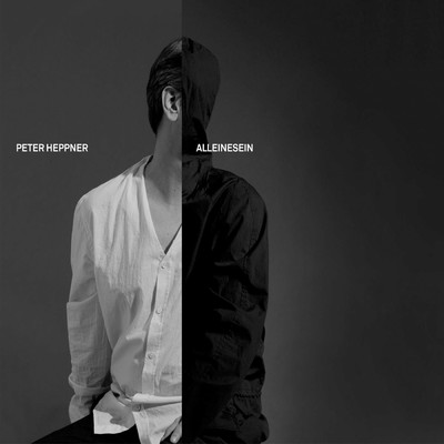 Alleinesein (Paul van Dyk Remix)/Peter Heppner