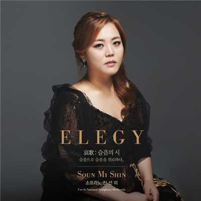 ELEGY/Sounmi Shin