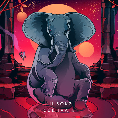 シングル/Cultivate/Lil Sokz