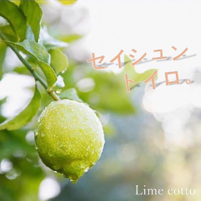 lime cotto