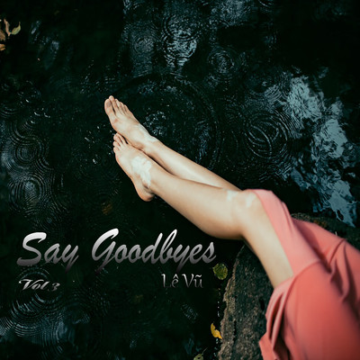 Say Goodbyes Vol. 3 (Beat)/Le Vu