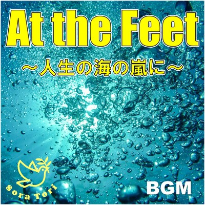 アルバム/At the Feet 人生の海の嵐に/Sora Tori