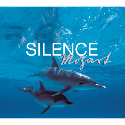 Silence Mozart/Various Artists
