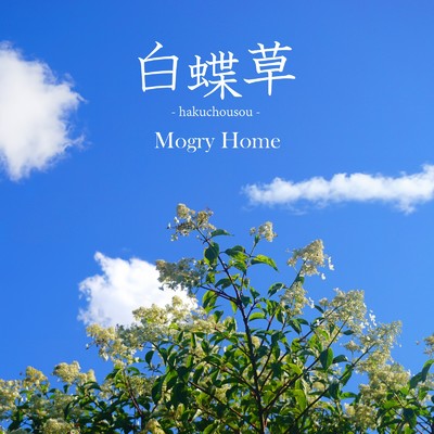 Mogry Home