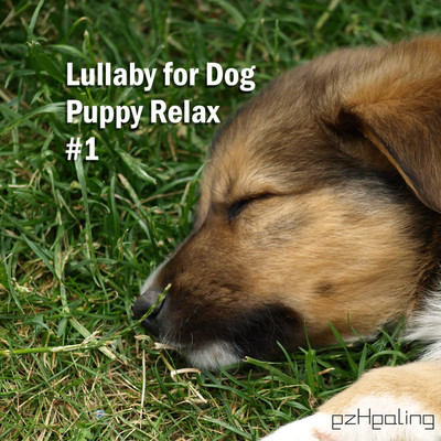 Lullaby for Dog, Puppy Relax Vol.1/ezHealing
