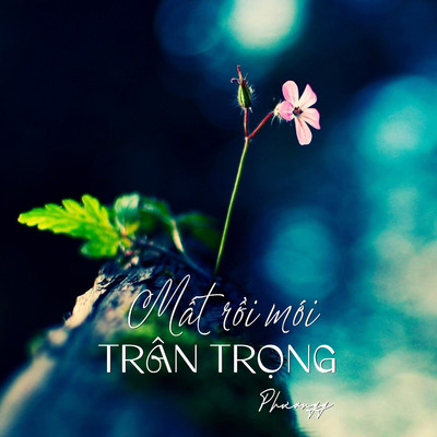 シングル/Mat Roi Moi Tran Trong/Phuongg