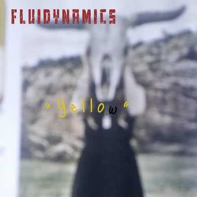 Fluidynamics