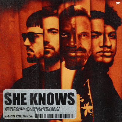 She Knows (with Akon) (Per Pleks Remix)/Dimitri Vegas & Like Mike x David Guetta x Afro Bros