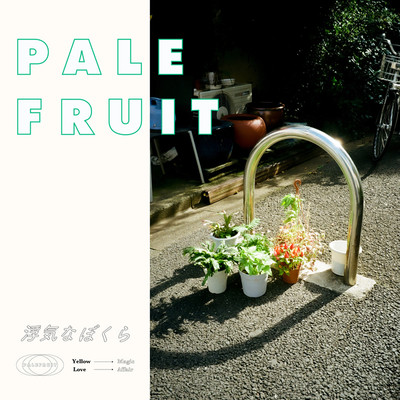 シングル/浮気なぼくら/Pale Fruit