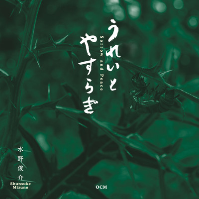 Shimmering Sea (piano version)/水野俊介