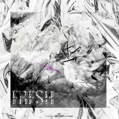 FRESH (feat. Xameleon & Jaja) [Remix]/TERRA