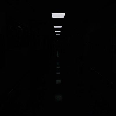 シングル/The Job Unseen/Gloveity