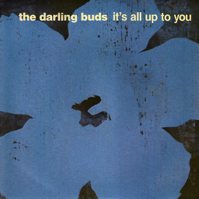 アルバム/It's All Up To You/The Darling Buds