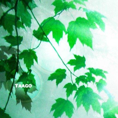 TAAGO/woodsocks