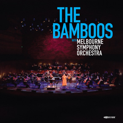 I Don't Wanna Stop (Live at Hamer Hall)/The Bamboos & Melbourne Symphony Orchestra