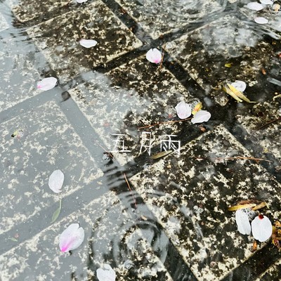 シングル/五月雨/BULU JOWA