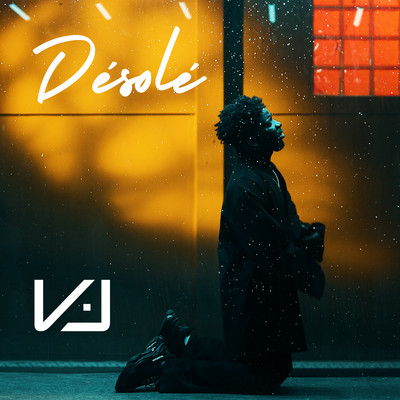 シングル/Desole/VJ