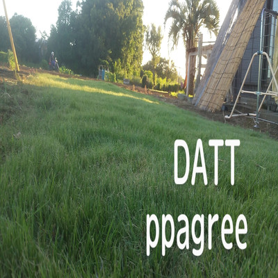 ppagree/DATT